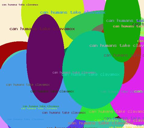 Can Humans Take Clavamox