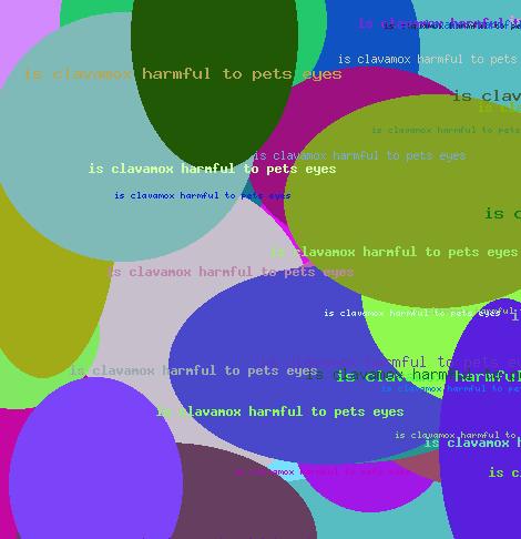 is clavamox harmful to pets eyes